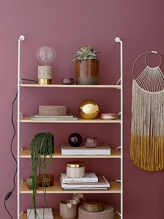 bookcases and standing shelves