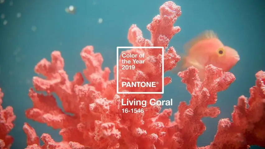 How to Use Pantone’s 2019 Color of the Year in Your Home