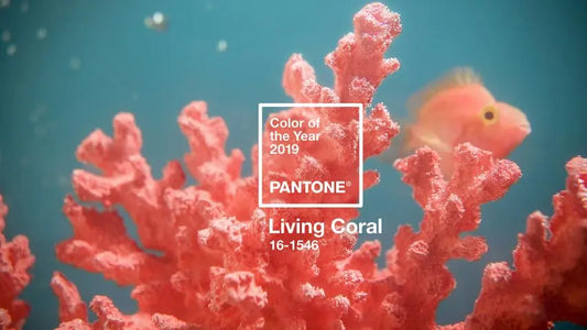 How to Use Pantone’s 2019 Color of the Year in Your Home