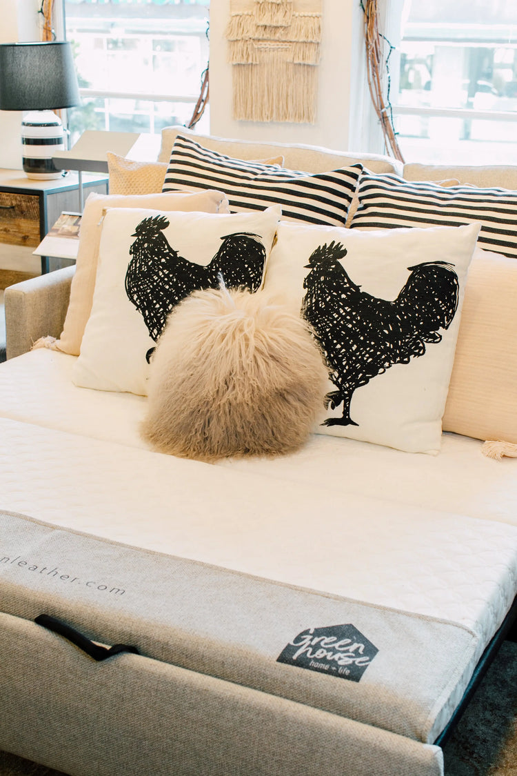 Sleeper Sofas