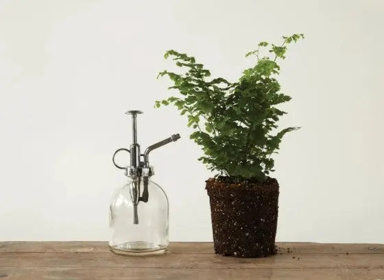 Gift Guide: Under $25