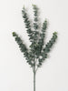 Towering Tall Eucalyptus Spray, [product_price]- Greenhouse Home