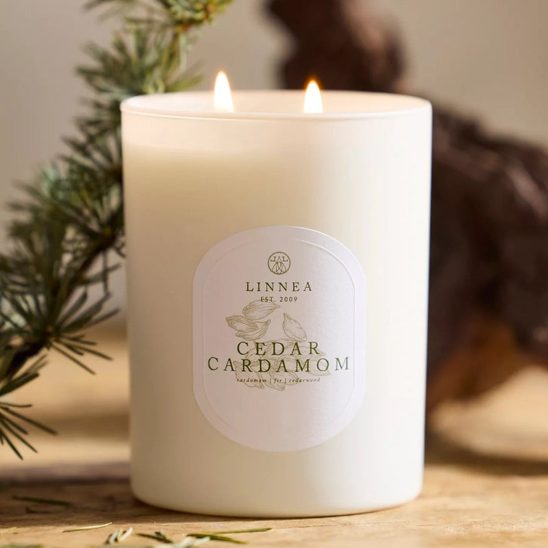 Cedar Cardamom 2-Wick Candle