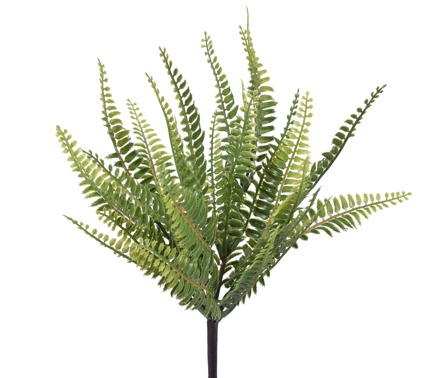 12" Boston Fern Replica Plants and Decor