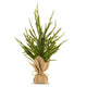 Potted Faux Norfolk Pine Tree