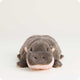Baby Hippo Warmies