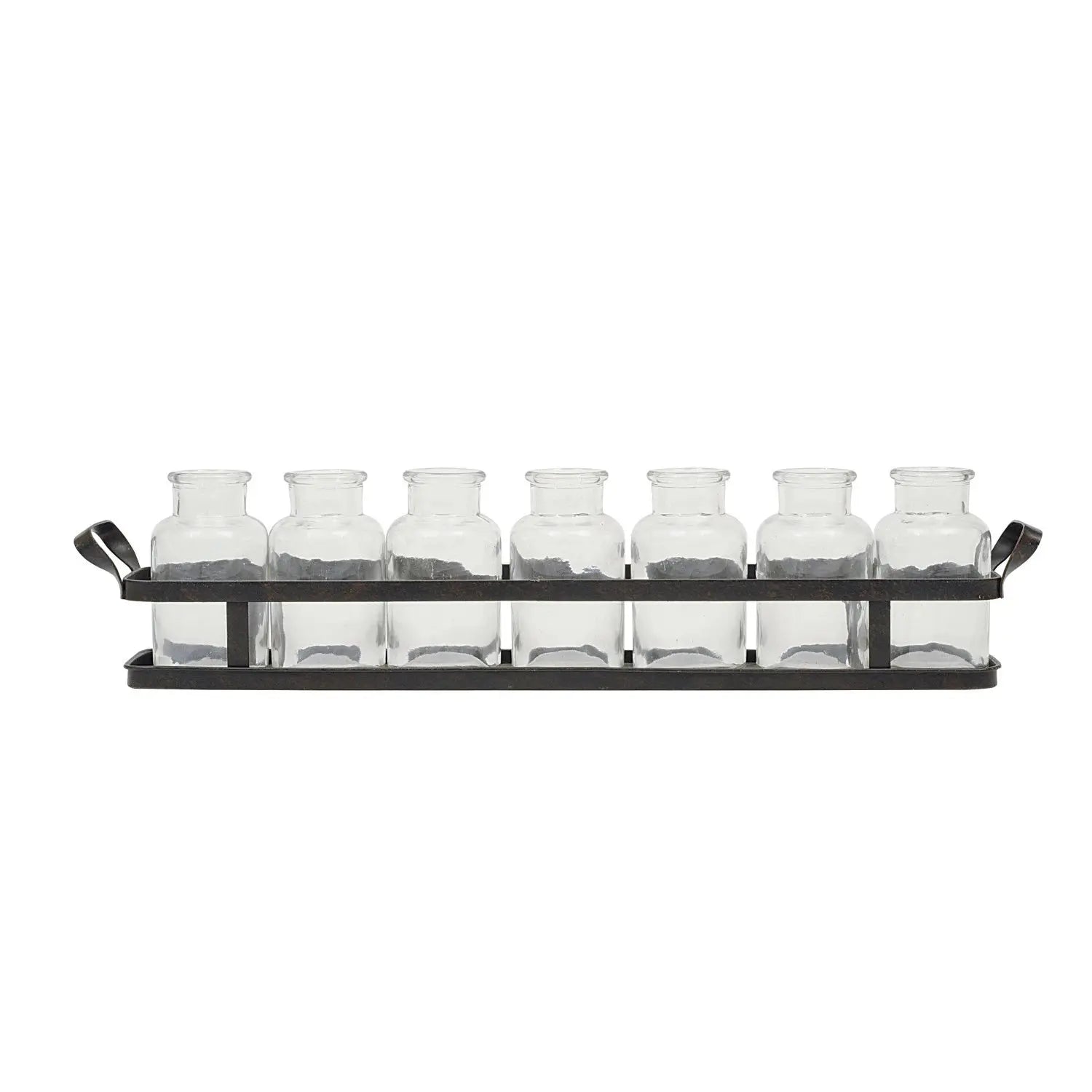 7 Glass Bottles on Rectangle Metal Tray w/ Handles Greenhouse Home
