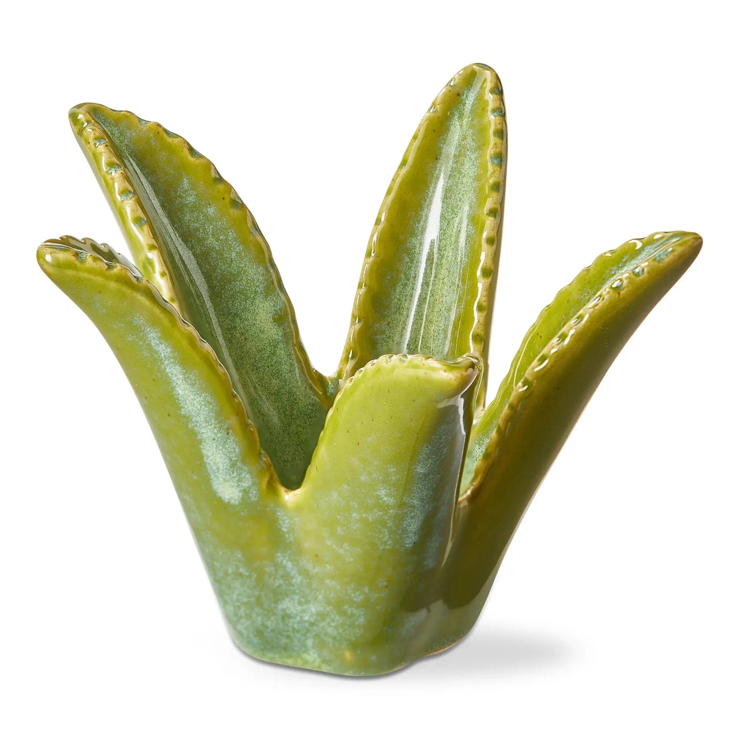 Aloe Vera Candle Holder TAG