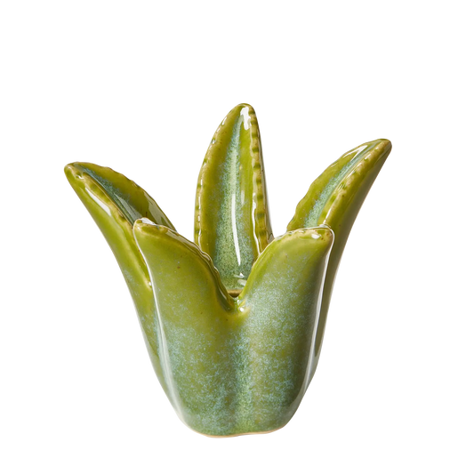 Aloe Vera Candle Holder TAG