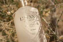 Ambre Santal High Performing Dish Soap L'AVANT Collective