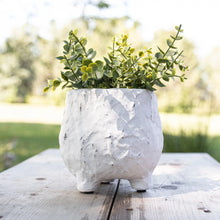 Ambrosine Planter White, [product_price]- Greenhouse Home