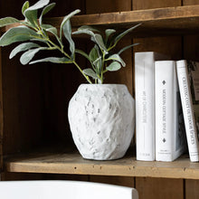 Ambrosine Vase White, [product_price]- Greenhouse Home