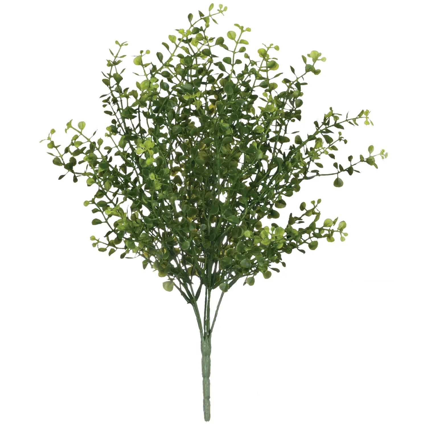 Baby Grass Pick, [product_price]- Greenhouse Home