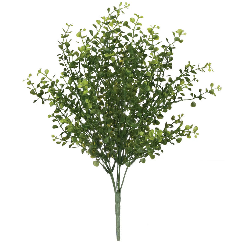 Baby Grass Pick, [product_price]- Greenhouse Home