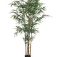 Bamboo Tree with Natural Stocks, 6' Replica Plants & Decor