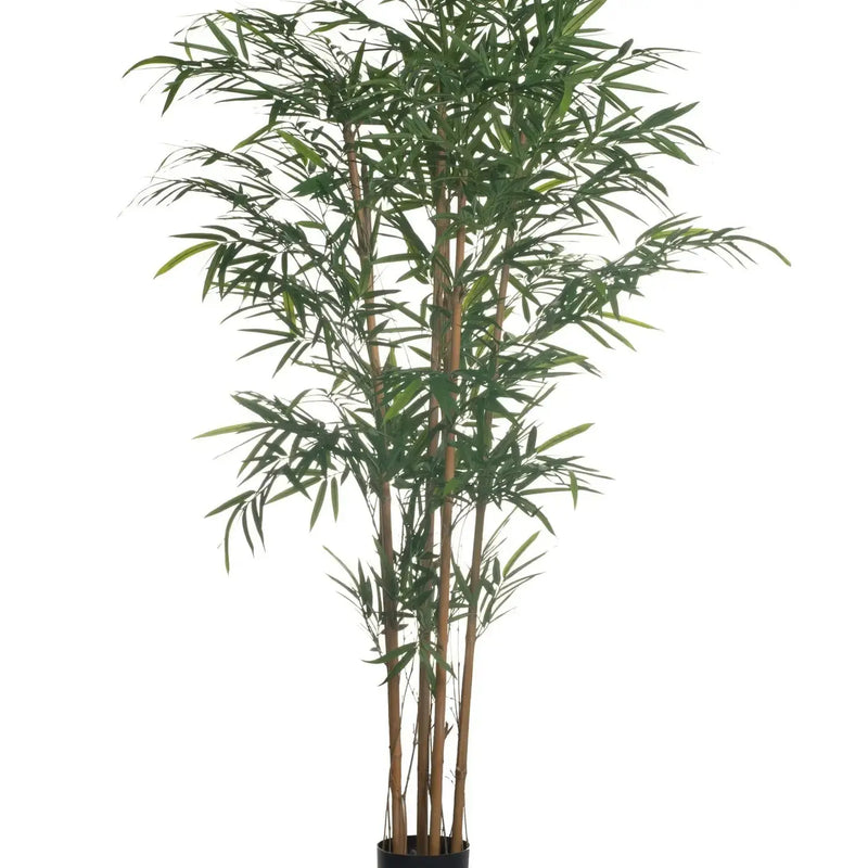 Bamboo Tree with Natural Stocks, 6' Replica Plants & Decor