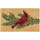 Birds & Boughs Cardinal Doormat NOW Designs