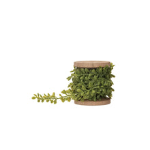 Plastic Boxwood Trim on Wood Spool, [product_price]- Greenhouse Home