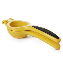 Citrus Squeezer - Greenhouse Home