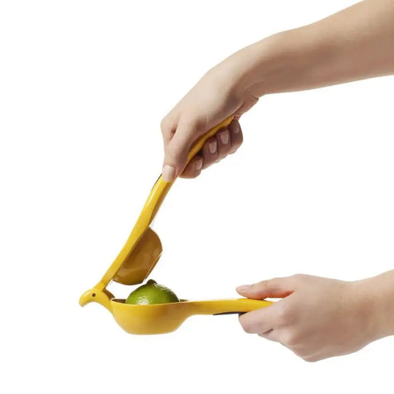 Citrus Squeezer - Greenhouse Home
