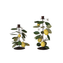 Decorative Brass Bowls (Copy) Greenhouse Home