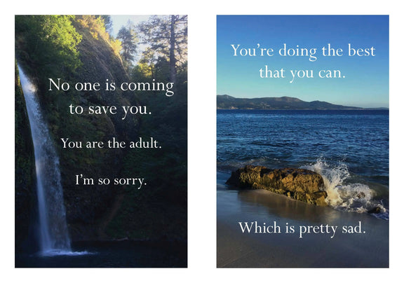 Disappointing Affirmations Chronicle Books