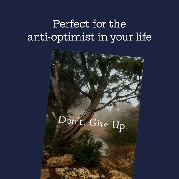 Disappointing Affirmations Chronicle Books