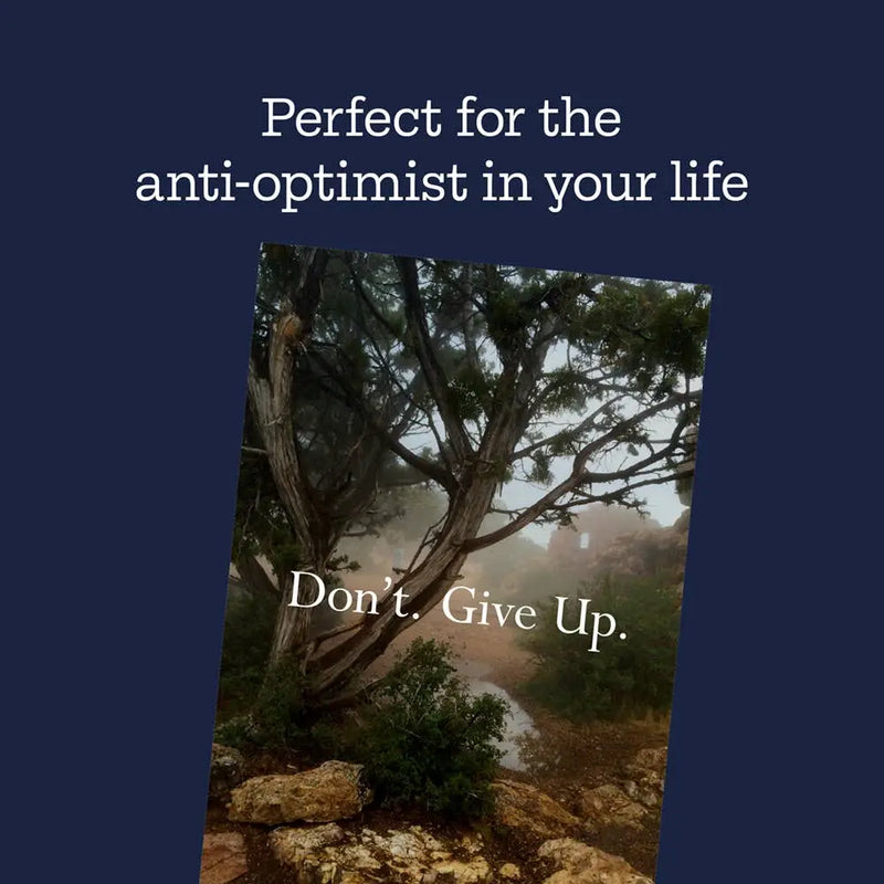 Disappointing Affirmations Chronicle Books
