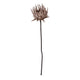 Dried Natural Faux Flower Pick Greenhouse Home