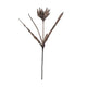 Dried Natural Faux Flower Pick Greenhouse Home