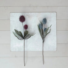 Dried Natural Faux Pod Pick Greenhouse Home