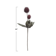 Dried Natural Faux Pod Pick Greenhouse Home