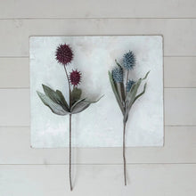 Dried Natural Faux Pod Pick Greenhouse Home