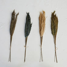 Dried Natural Pampas Grass Bunch Greenhouse Home