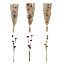 Dried Natural Thistle Bunch Greenhouse Home