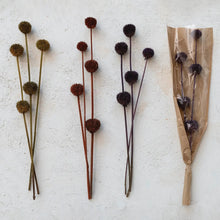 Dried Natural Thistle Bunch Greenhouse Home