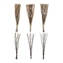 Dried Natural Willow Bunch, [product_price]- Greenhouse Home