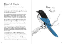 Dumb Birds Field Guide to the Worst Birds Ever Chronicle Books