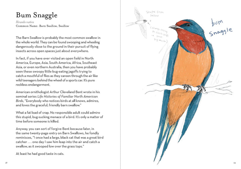 Dumb Birds Field Guide to the Worst Birds Ever Chronicle Books
