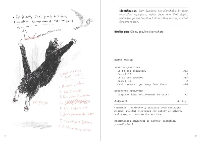Dumb Birds Field Guide to the Worst Birds Ever Chronicle Books