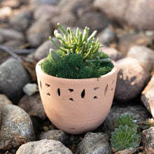 Ervina Terracotta Planter, [product_price]- Greenhouse Home