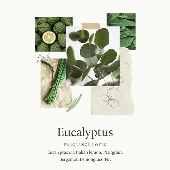Eucalyptus Replenishing Hand Lotion Thymes