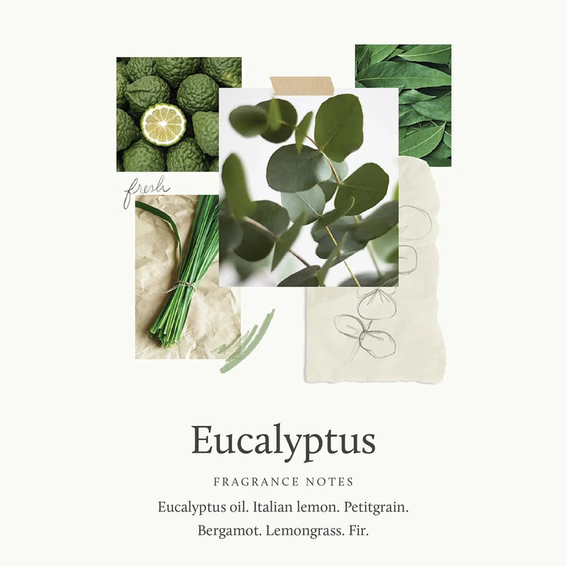 Eucalyptus Replenishing Hand Lotion Thymes