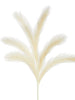 Pampas Grass Spray, [product_price]- Greenhouse Home