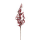 Red Berry Branch