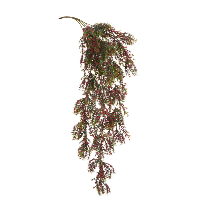 Hanging Pepper Berry Branch