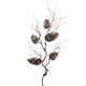Iced Pinecone Branch