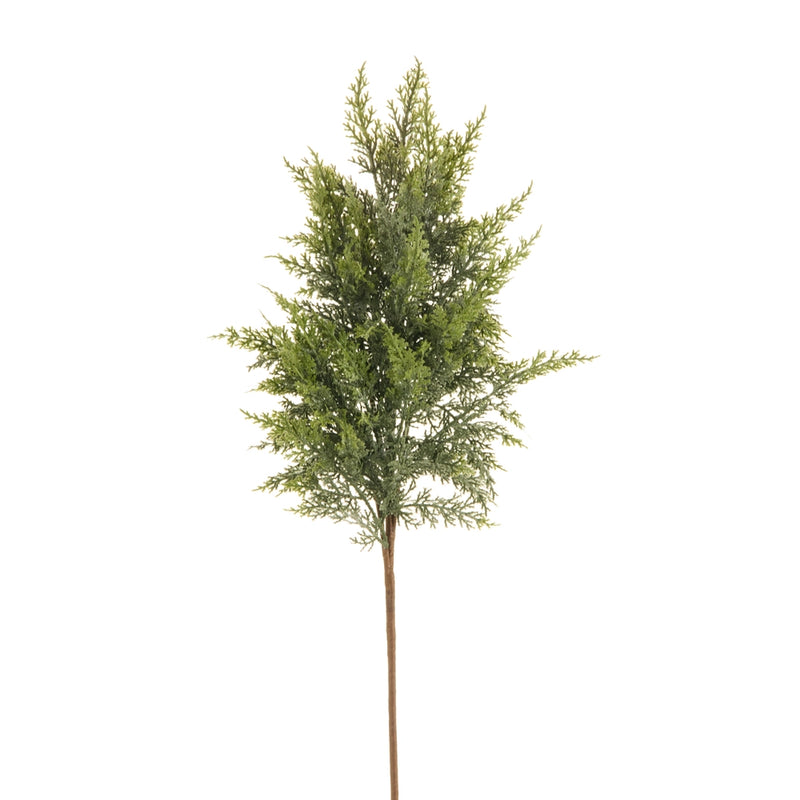 Iced Cedar Spray