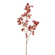 Red Berry Spray