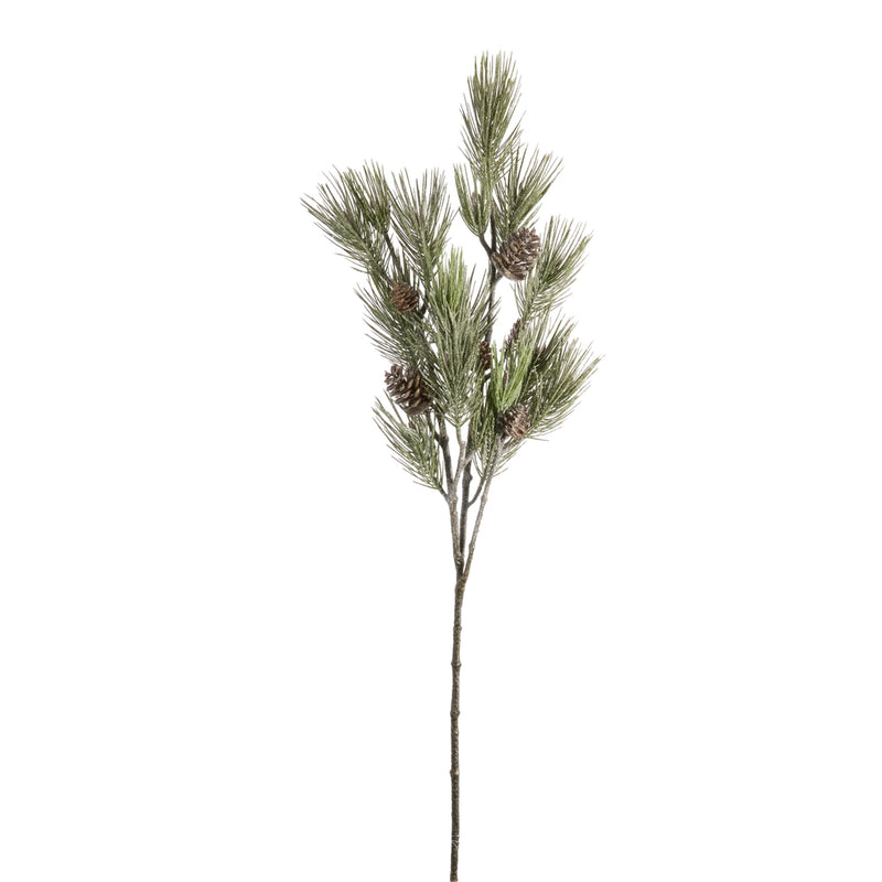 Frosted Long Needle Pine Branch